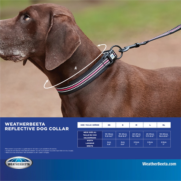 Weatherbeeta Reflective Dog Collar 1003618 - Pink